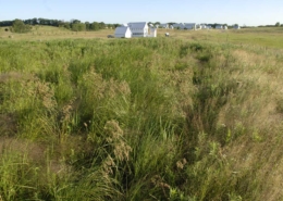 Jackson Meadow, Minnesota Water Project